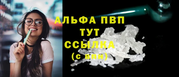 PSILOCYBIN Семёнов