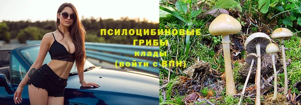 а пвп мука Алексеевка