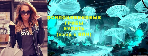 крисы Абдулино